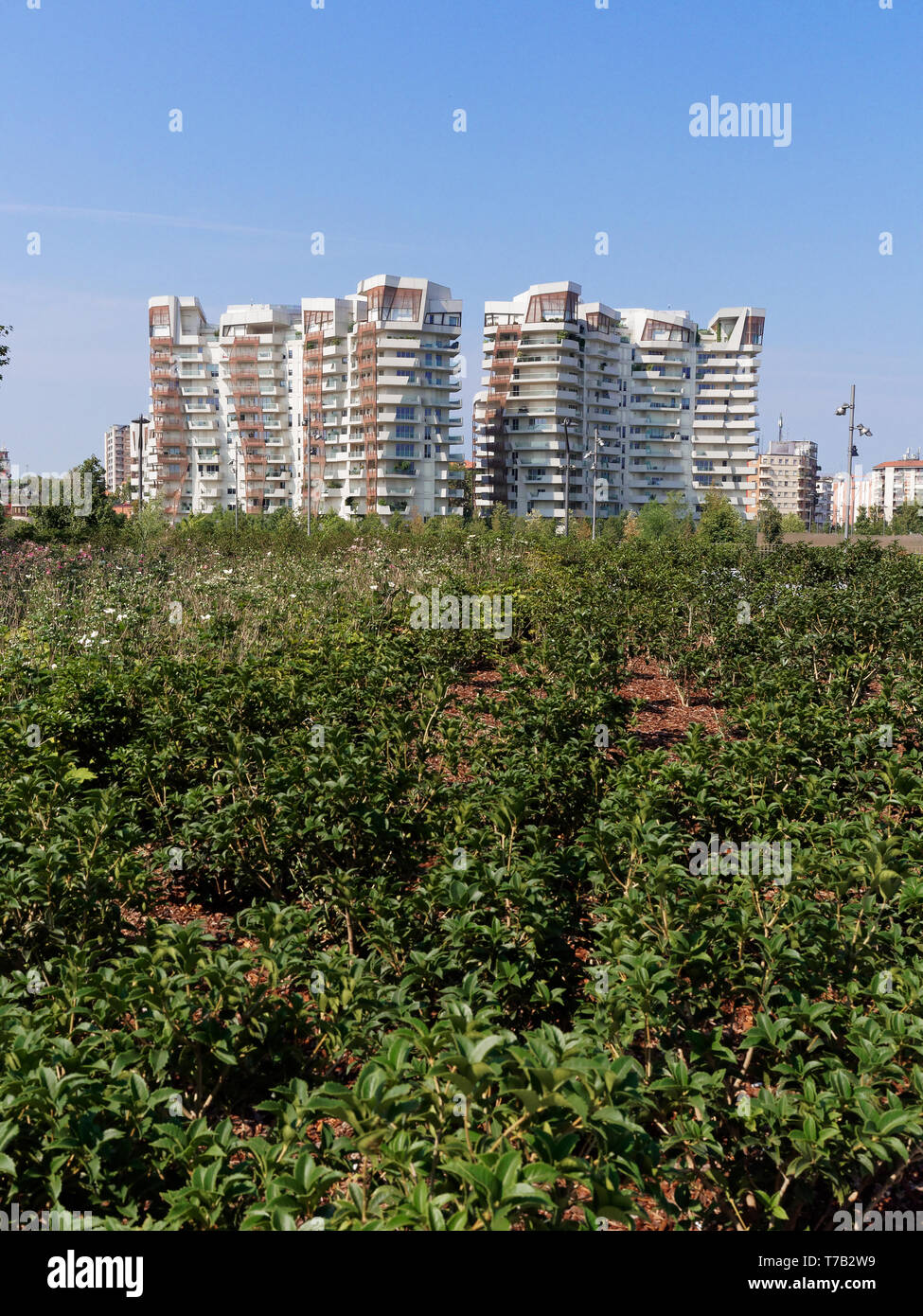 Milano - Milano - Milano la vita in città Foto Stock