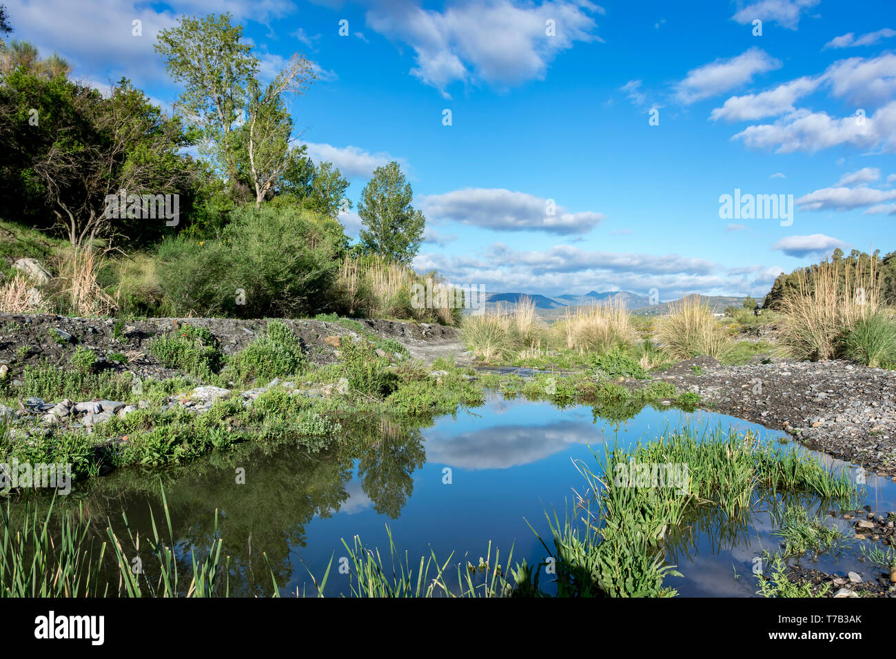 Landscapena Foto Stock