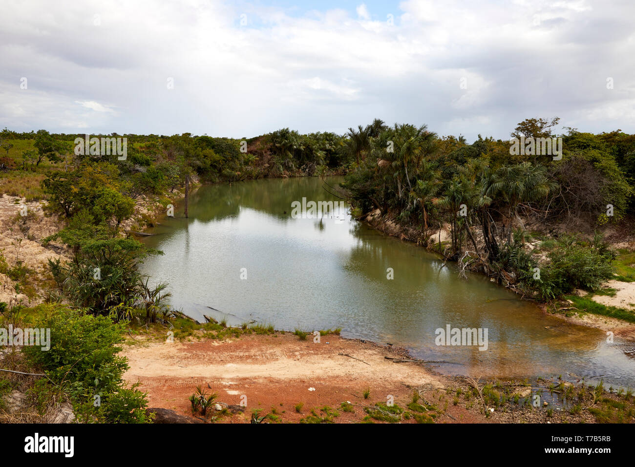 Fiume Pirara in Guyana America del Sud Foto Stock