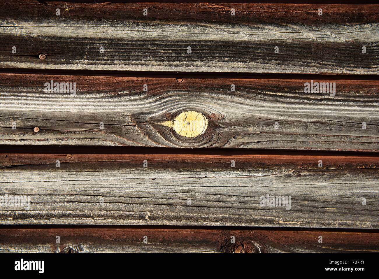 Abstract texture di legno Foto Stock