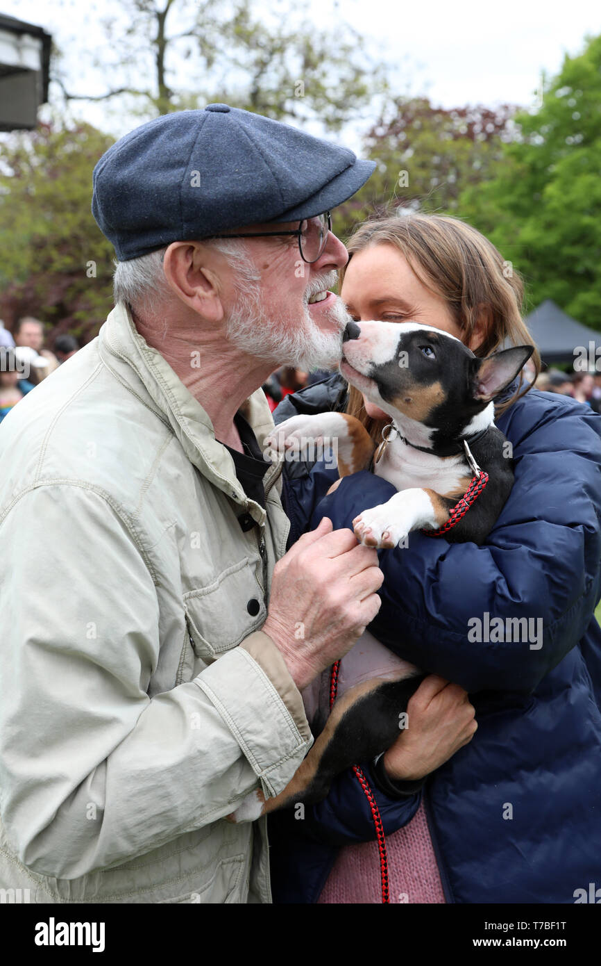 Londra Regno Unito Il 5 Maggio 19 Oscar L Inglese Bull Terrier Cucciolo Grazie Giudice Attore