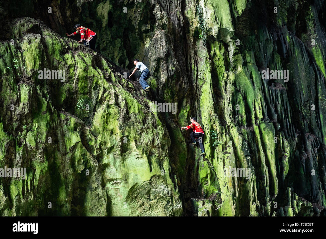 Ziyun. Xix Apr, 2019. Foto realizzata il 19 aprile 2019 illustra la scogliera 'spiderpersons' che esegue solo libero presso il fiume Getu scenic area in Miao-Bouyei contea autonoma di Ziyun, Anshun, a sud-ovest della Cina di Guizhou. Luo Dengping di Miao gruppo etnico, 38, potrebbe completare un free climbing avanti e indietro in venti minuti su un 80-metro-alta scogliera con alcun aiuto o protezione presso il fiume Getu scenic area. Altri cinque cliff spidermen come Luo eseguire solo libero per i turisti per due volte a cinque volte al giorno. Credito: Tao Liang/Xinhua/Alamy Live News Foto Stock