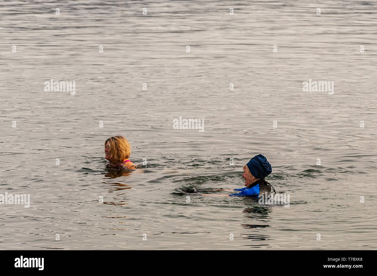 Bantry, West Cork, Irlanda. Il 6 maggio, 2019. Nuotatori del 'Snavata guarnizioni' nuoto club ha preso per l'acqua questa mattina per una banca vacanza nuotare. La giornata è iniziata fuori scialbo e nuvoloso ma non vi sono state le magie di sole durante tutto il giorno. Credito: Andy Gibson/Alamy Live News. Foto Stock