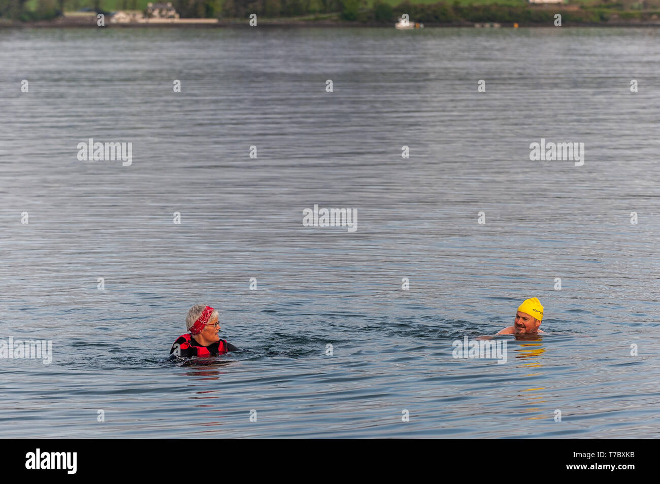 Bantry, West Cork, Irlanda. Il 6 maggio, 2019. Nuotatori del 'Snavata guarnizioni' nuoto club ha preso per l'acqua questa mattina per una banca vacanza nuotare. La giornata è iniziata fuori scialbo e nuvoloso ma non vi sono state le magie di sole durante tutto il giorno. Credito: Andy Gibson/Alamy Live News. Foto Stock