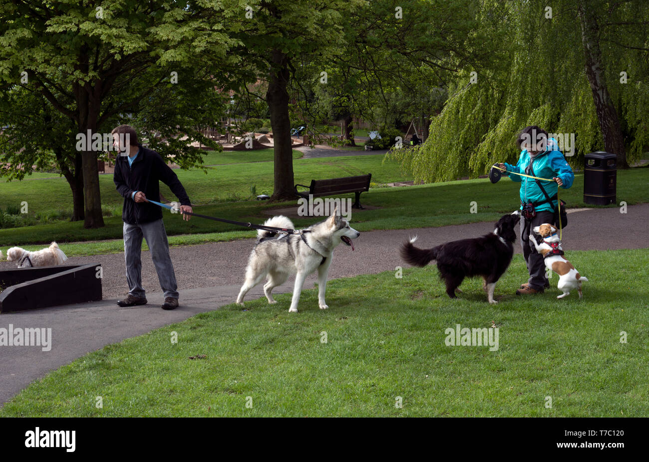 Camminatori del cane in un parco pubblico, REGNO UNITO Foto Stock