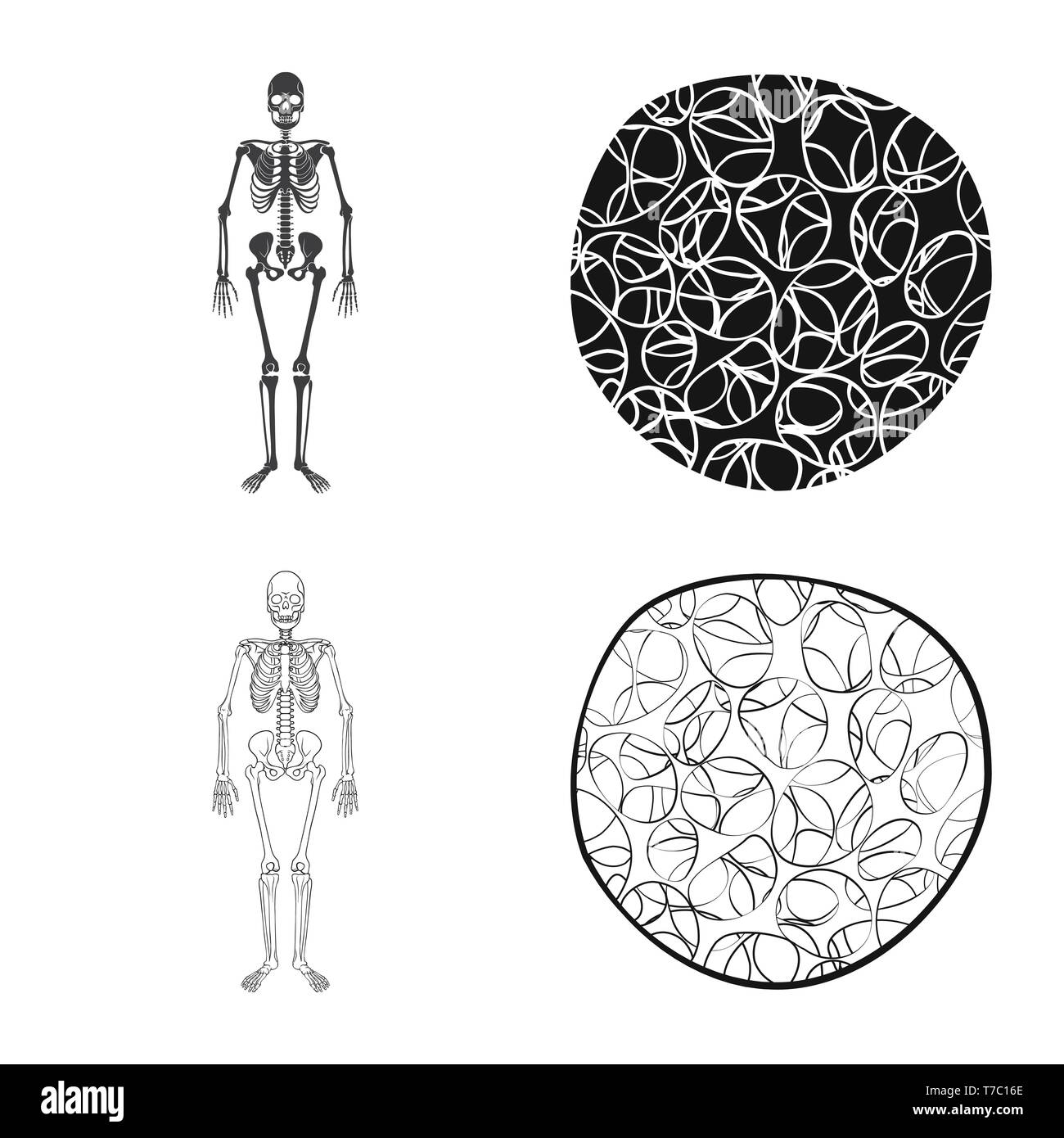Apparato muscoloscheletrico,l'osteoporosi,scientific,cell,scheletrico tessuto,,sistema connettivo,,corpo,la cartilagine,cranio,struttura,sano, fibra,TENDINE,medicina clinica,,biology,medical,osso,skeleton,anatomia umana,,organi,impostare,vettore,icona,immagine,isolato,raccolta,design,l'elemento,graphic,segno, Vettori vettore , Illustrazione Vettoriale