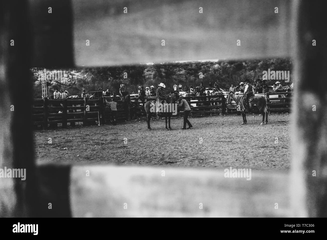 Jaripep o rodeo nell'ejido cuquiarachi. Cuquiarachic, appartenente al comune di Fronteras, Sonora. La vita quotidiana e la cultura del cowboy in città Foto Stock