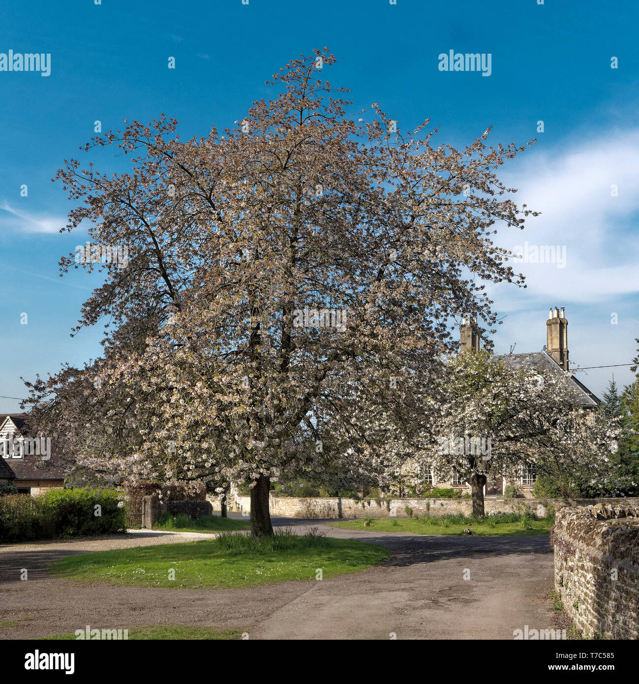 Chiesa verde, Fyfield, Oxfordshire Foto Stock