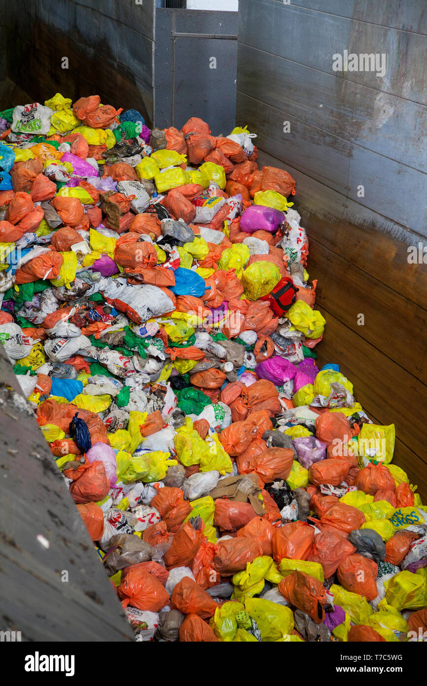 Separazione dei rifiuti con colori diversi sacchetti di plastica Foto Stock