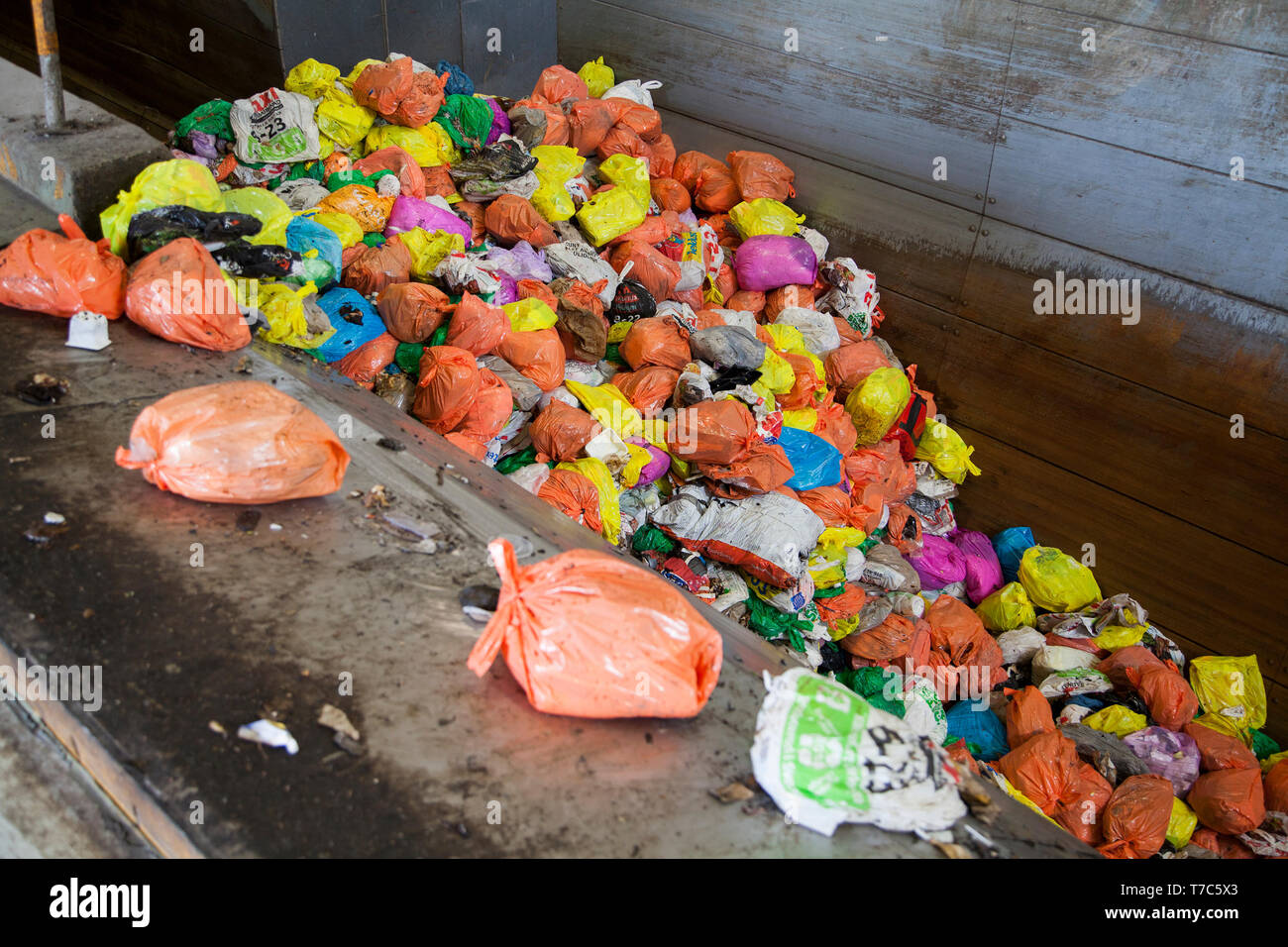 Separazione dei rifiuti con colori diversi sacchetti di plastica Foto Stock