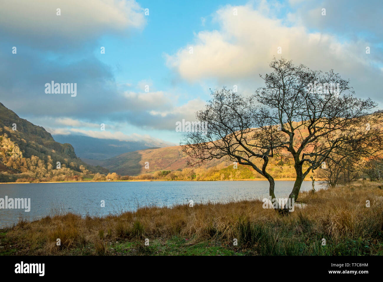 Llyn Gwynant lago su una soleggiata giornata invernale Foto Stock