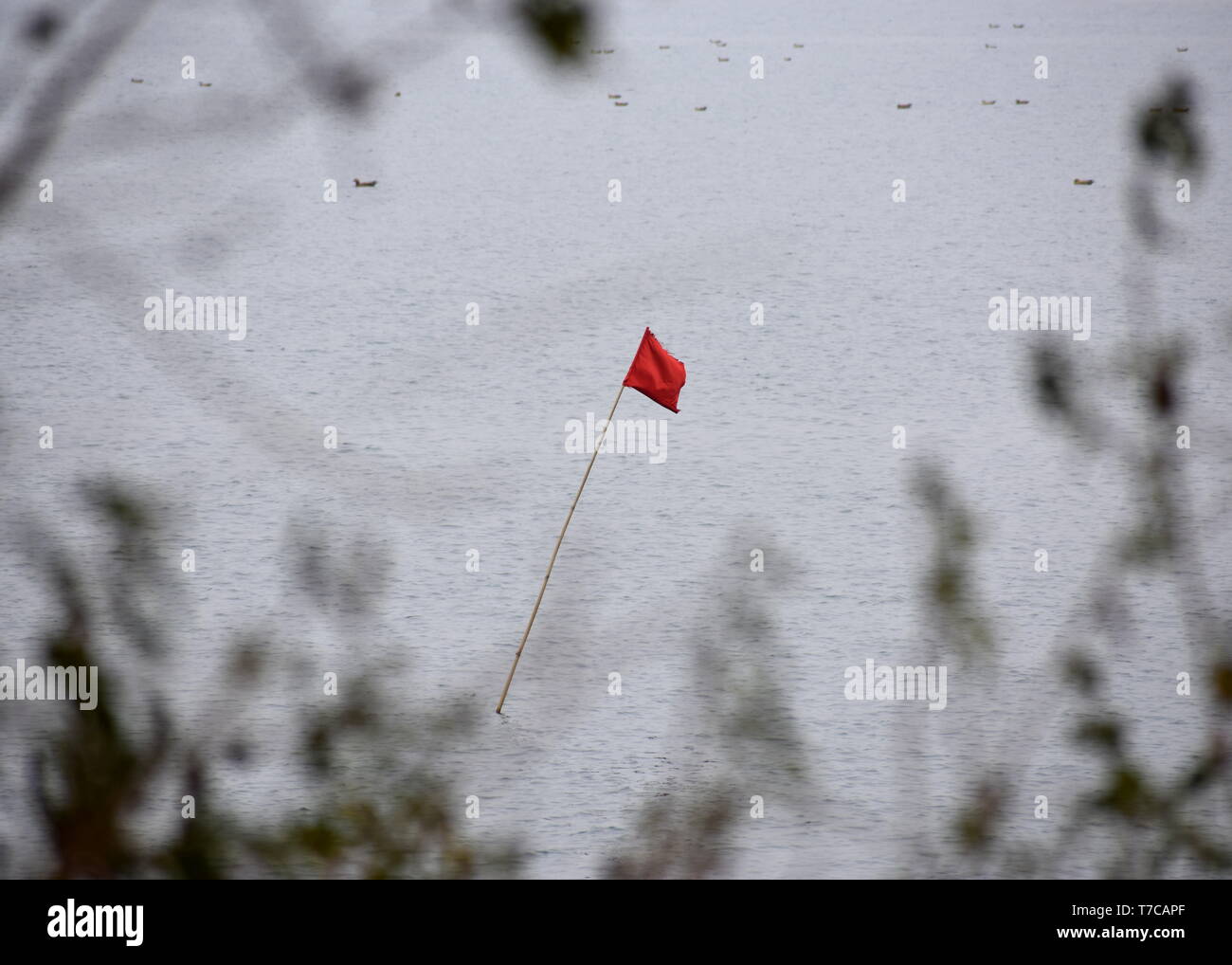 Bandiera rossa sventolata in forte vento nelle acque oceaniche - Avviso dal ciclone tropicale immagine Foto Stock