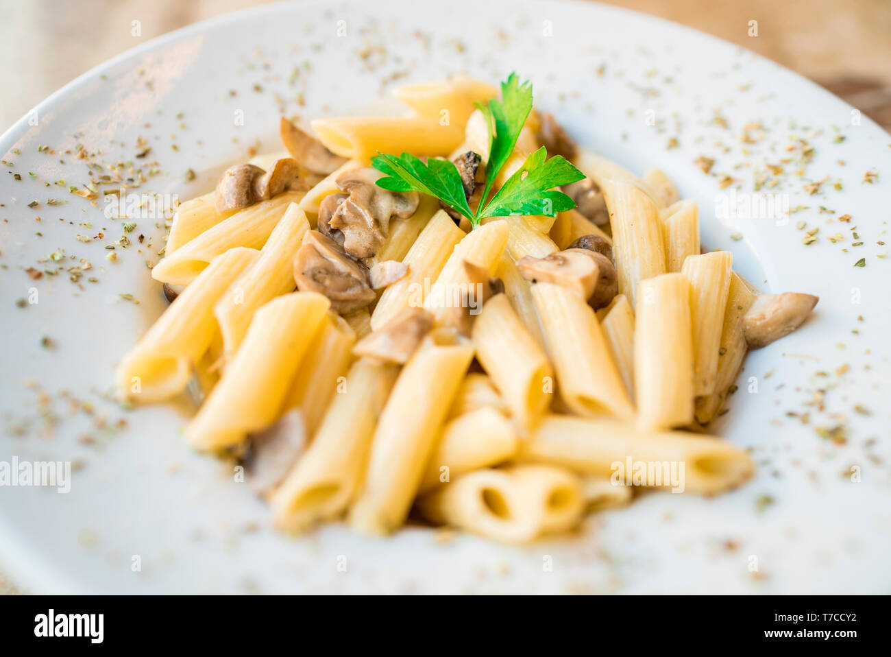 Fungo cremosa con penne pasta Foto Stock