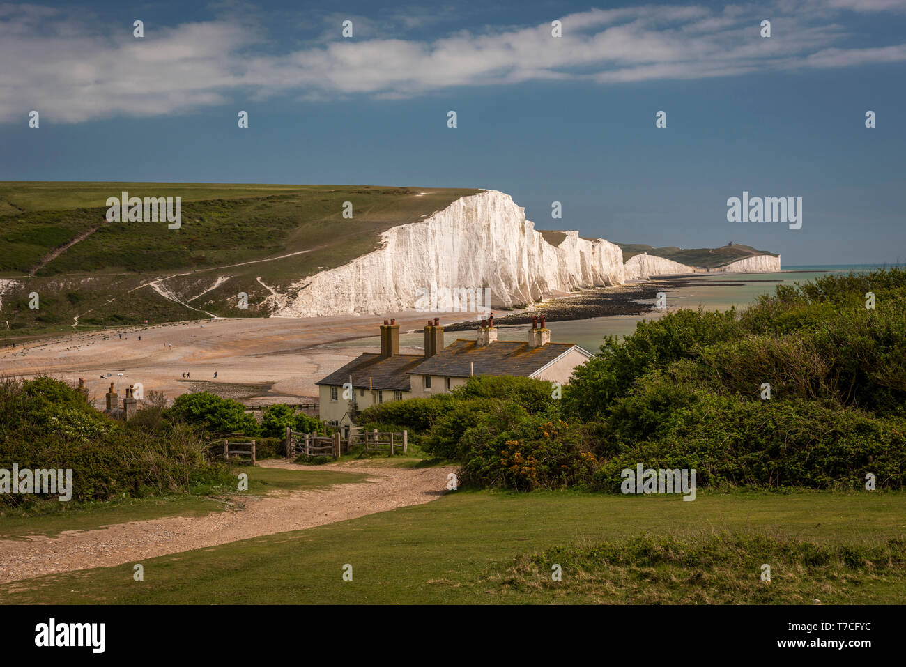 Le sette sorelle chalk cliffs East Sussex, Regno Unito Foto Stock