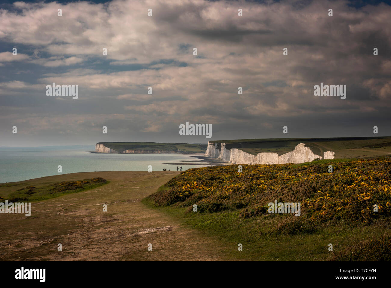 Le sette sorelle chalk cliffs in East Sussex, Regno Unito Foto Stock