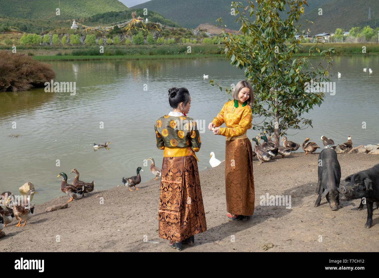 Songzanlin tibetano monastero buddista si riflette nel lago sacro, Shangri-La, nella provincia dello Yunnan in Cina Foto Stock