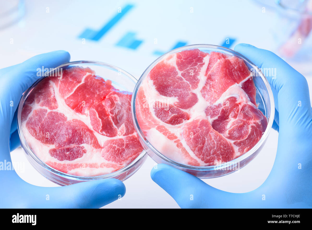 Due campioni di carni nel laboratorio di capsule di Petri. Laboratorio di prova di carne concetto. Foto Stock