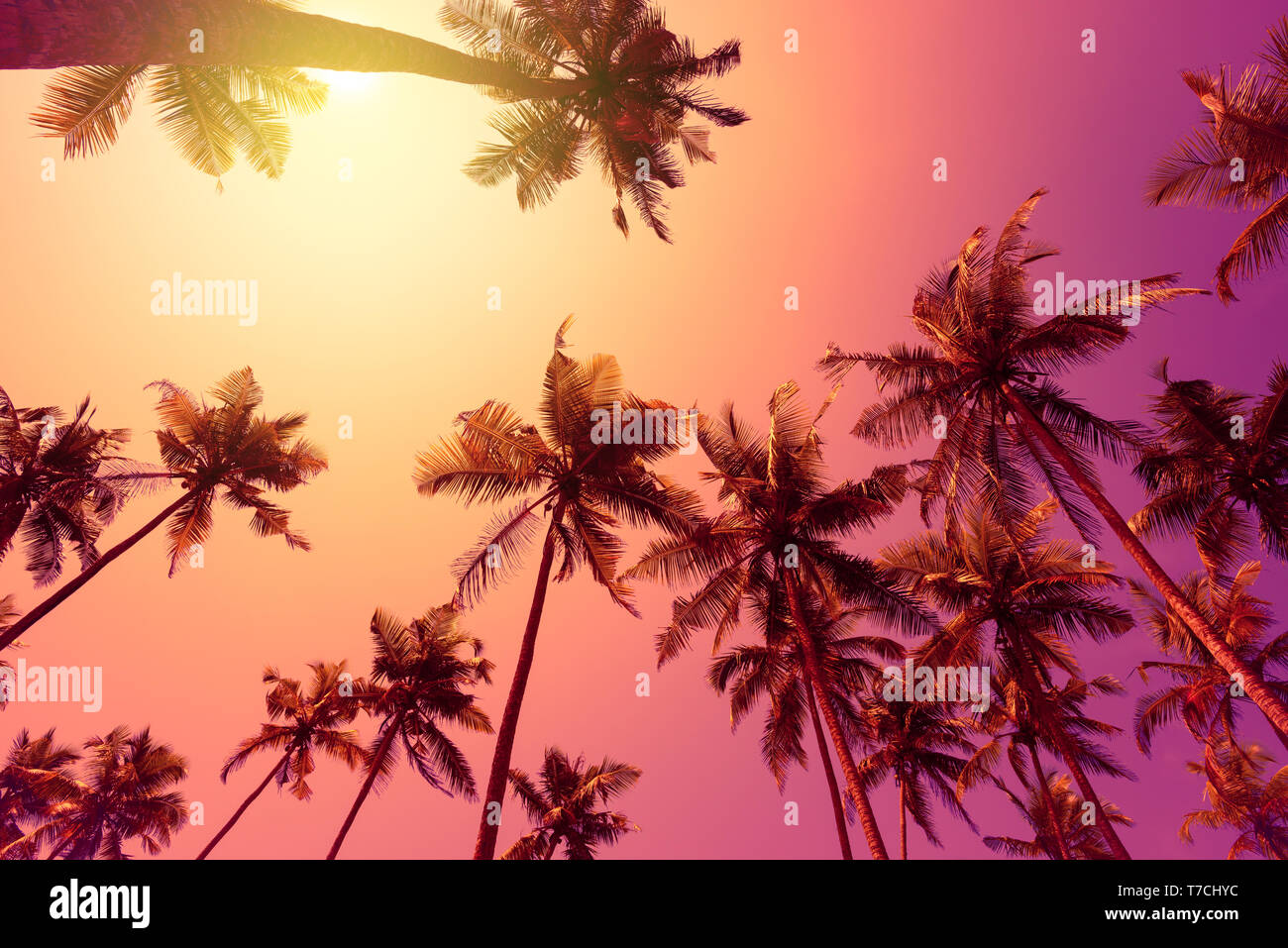 Tramonto tropicale Foto Stock