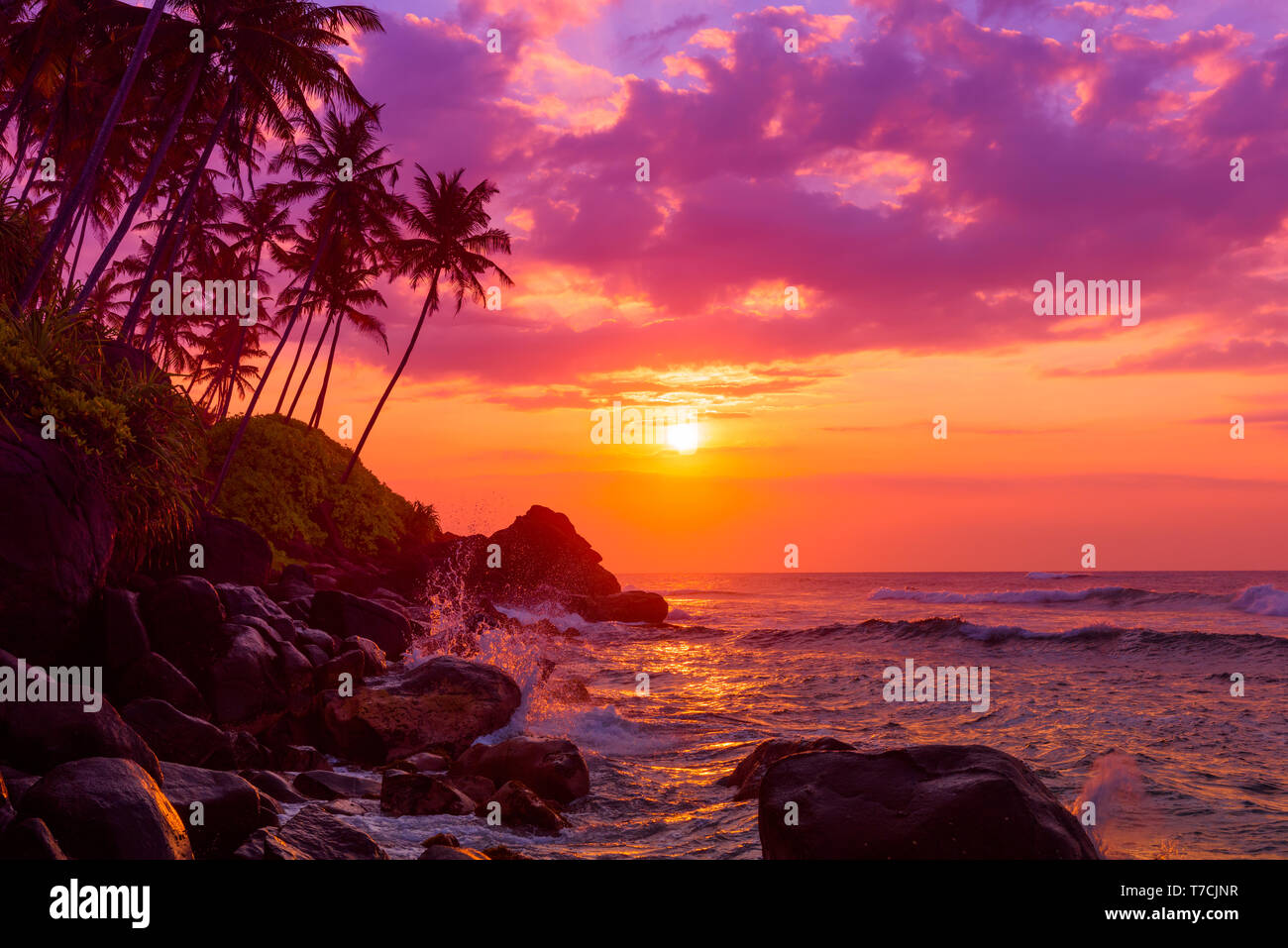 Bellissimo tramonto tropicale di cocco con palme sulla collina e spruzzi d'onda sulle rocce Foto Stock