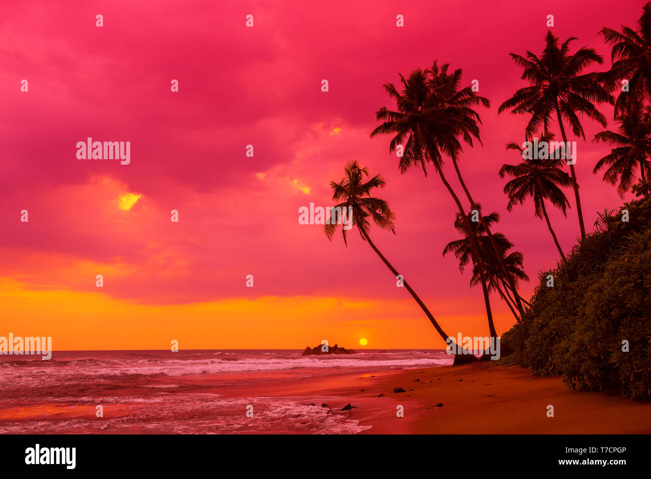 Tramonto tropicale palme sagome sul paesaggio di spiaggia Foto Stock