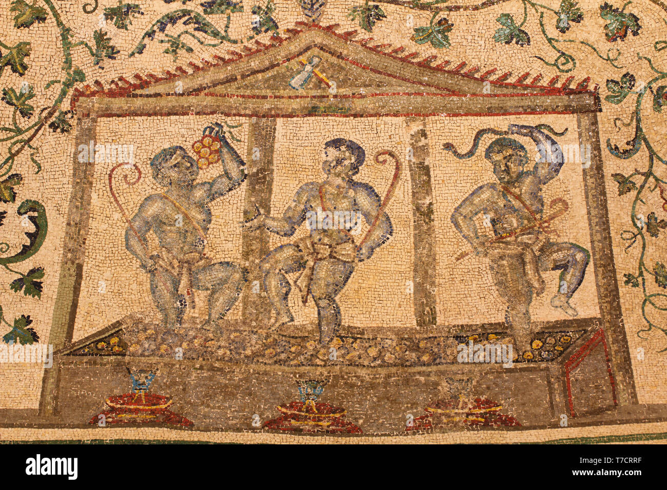 Vinificazione - il processo romano per fare il vino - dettaglio del deambulatorio mosaici del Mausoleo di Santa Costanza (inizio l'arte cristiana - 4° c AD) Foto Stock