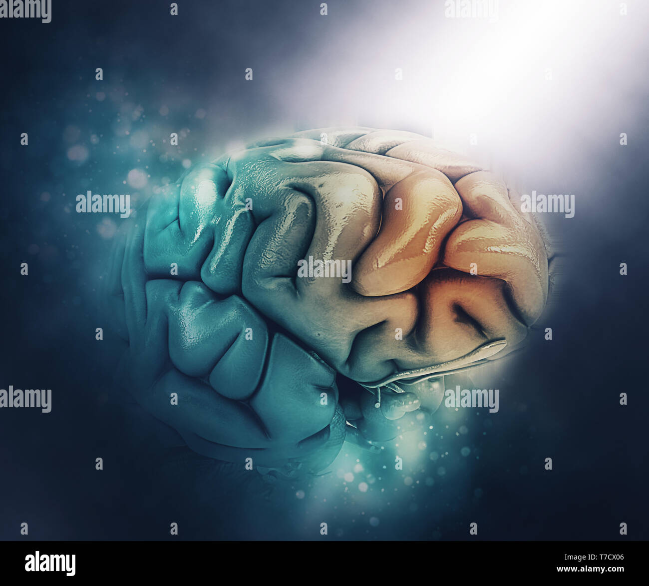 3D render di un medico di figura di un cervello con il lobo frontale evidenziata Foto Stock
