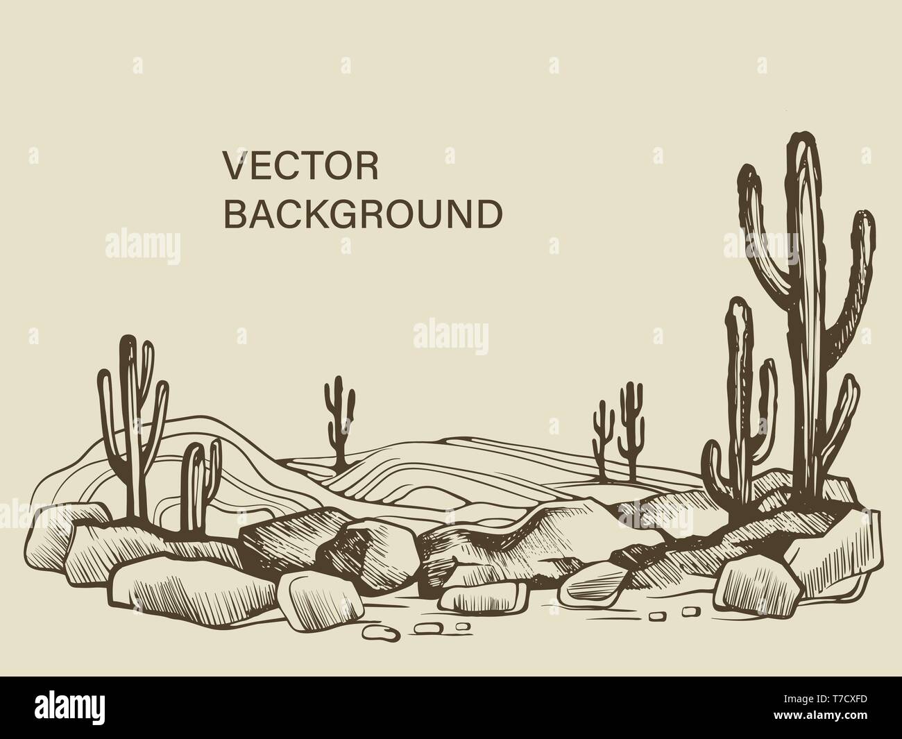 Cactus nel deserto dell'Arizona schizzo Illustrazione Vettoriale