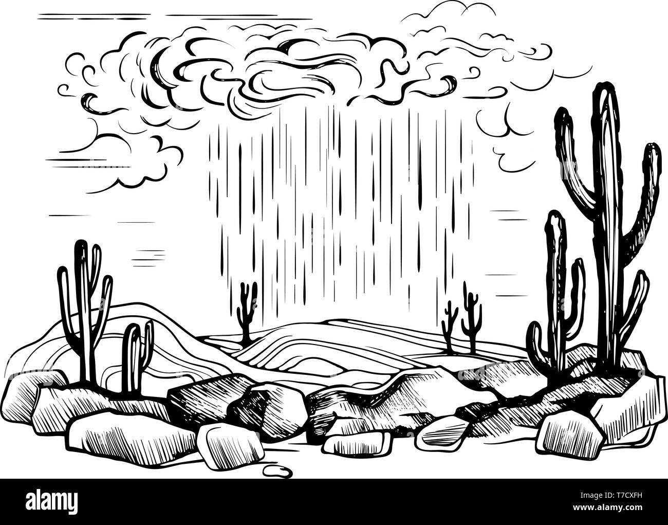 Arizona desert storm pioggia Illustrazione Vettoriale