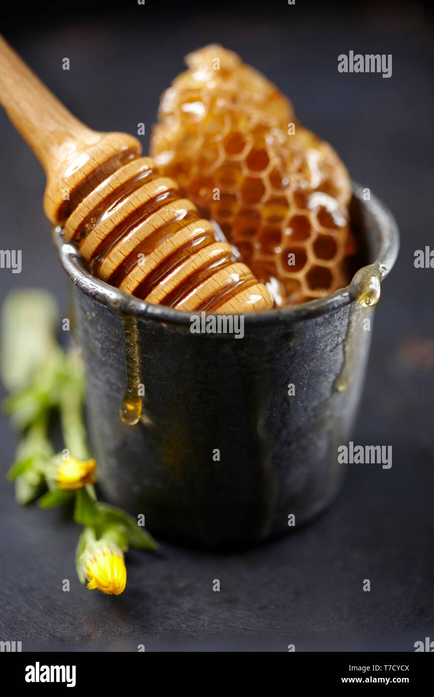 Miele selvatico e favo di miele Foto Stock