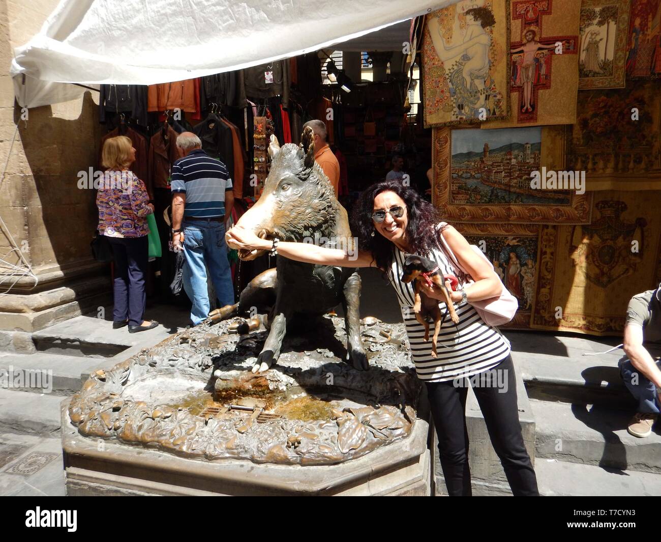 Donna con turistica pinscher cucciolo di cane fare classic custom di  accarezzare il cinghiale in bronzo muso della fontana conosciuta come il  porcellino a Firenze Italia Foto stock - Alamy