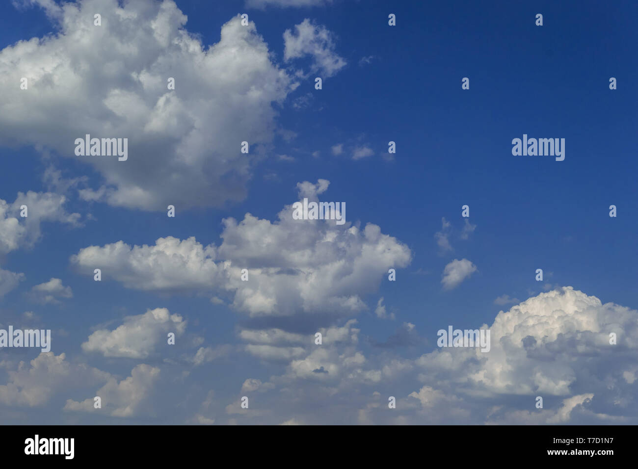 Cumulus nuvole , blu cielo Foto Stock