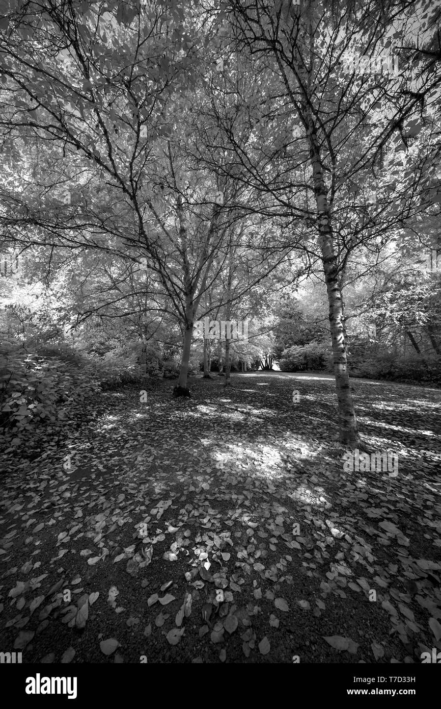 Statua ornamentali all'Larmer Tree Gardens, WILTSHIRE REGNO UNITO Foto Stock