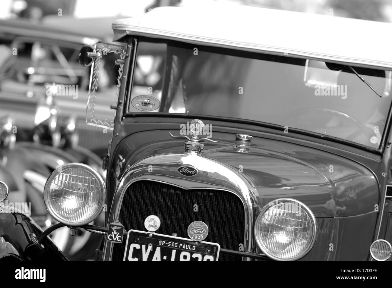 Dettaglio del classico auto in esposizione mensile in Sao Paulo Foto Stock