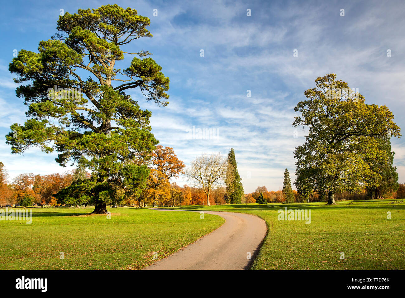 Rushmore Park Golf Club in autunno. Wiltshire REGNO UNITO. Foto Stock