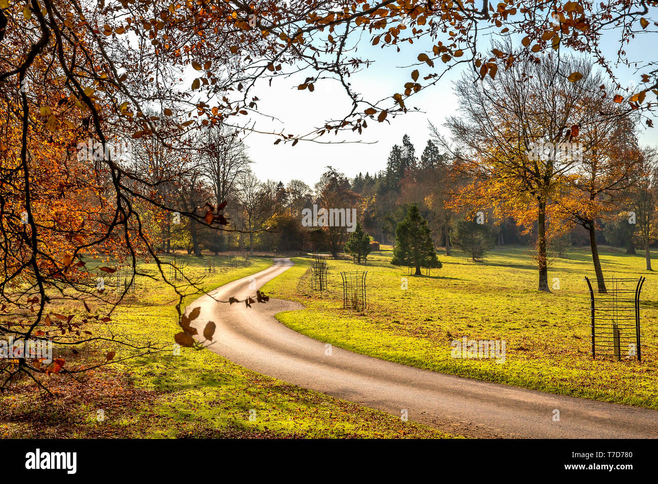 Rushmore Park Golf Club in autunno. Wiltshire REGNO UNITO. Foto Stock