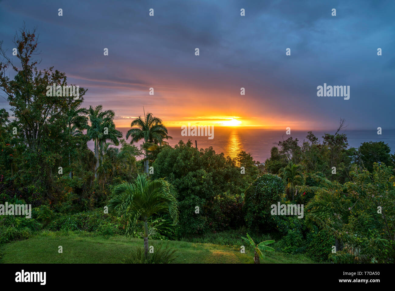 Sonnenuntergang an der Küste von Dominica, Karibik, Mittelamerika | tramonto presso la costa della Dominica, dei Caraibi e America centrale Foto Stock
