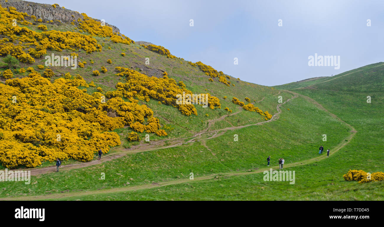 Gli escursionisti / Hill Walkers sui sentieri a Holyrood Park, Edimburgo Foto Stock