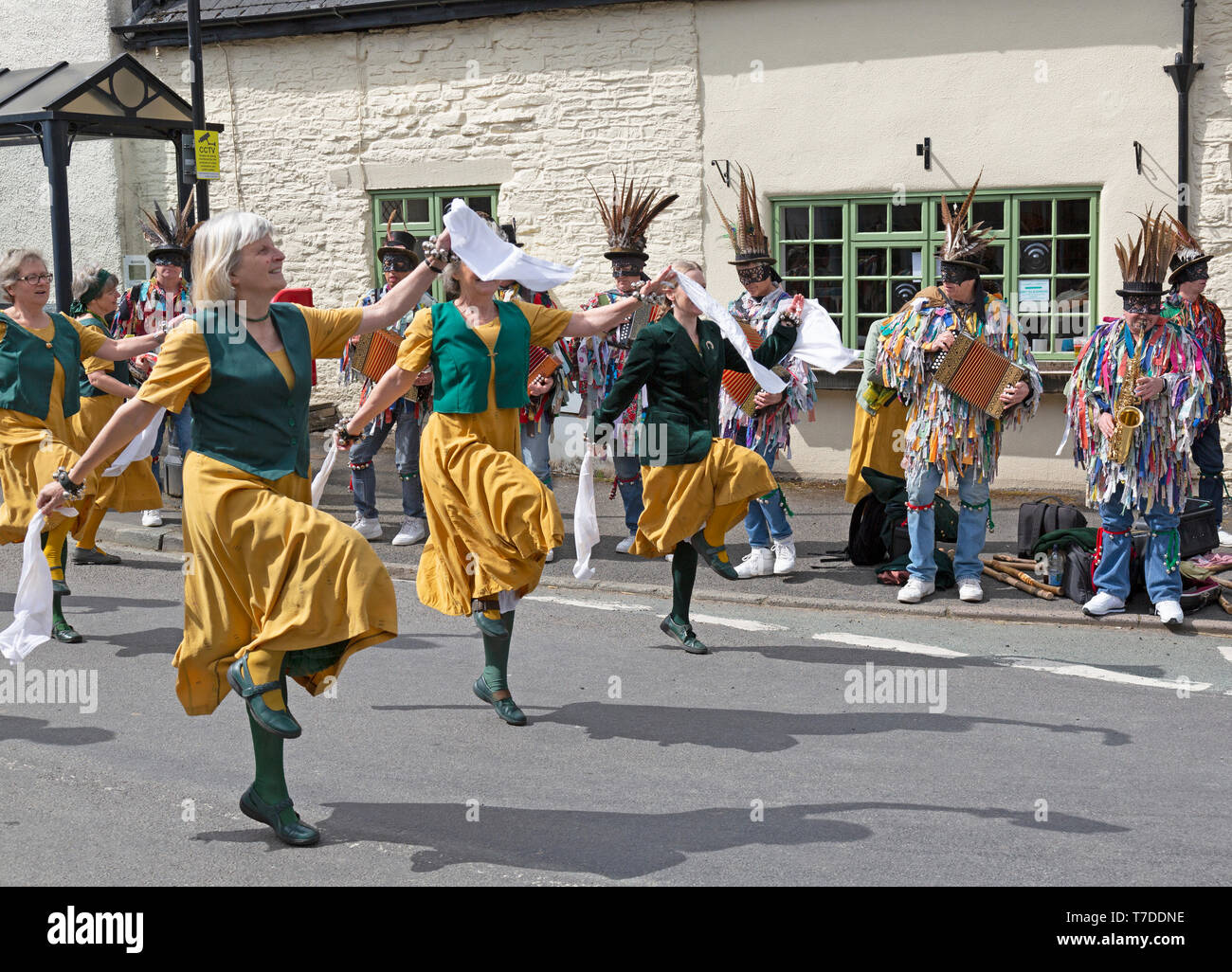 Il Green Man Festival 2019, tenutasi nel villaggio di Clun inn Shropshire in Inghilterra. La festa ha origini pagane relative al mutare delle stagioni. Foto Stock