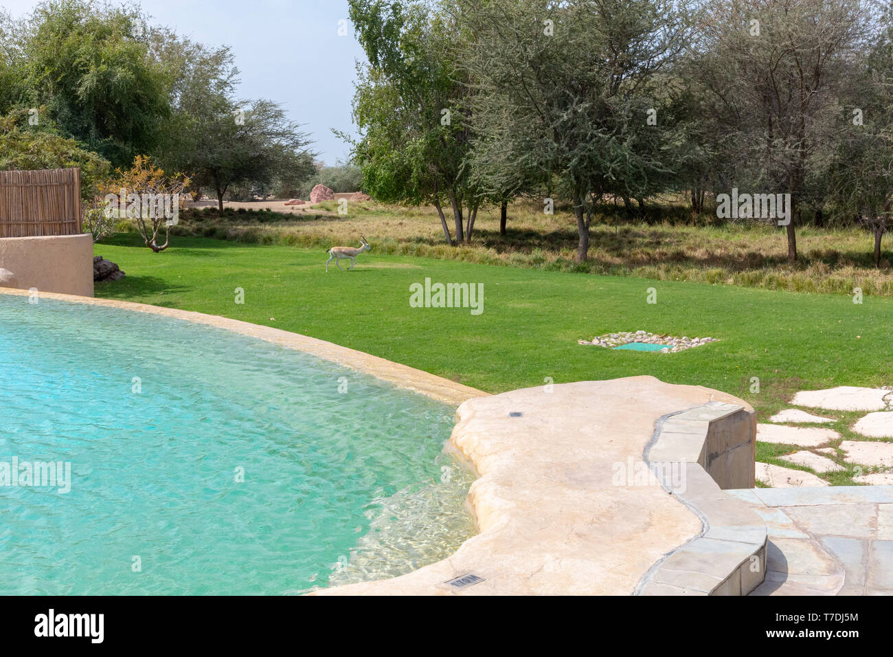 Piscina al resort di Sahel, Abu Dhabi Foto Stock