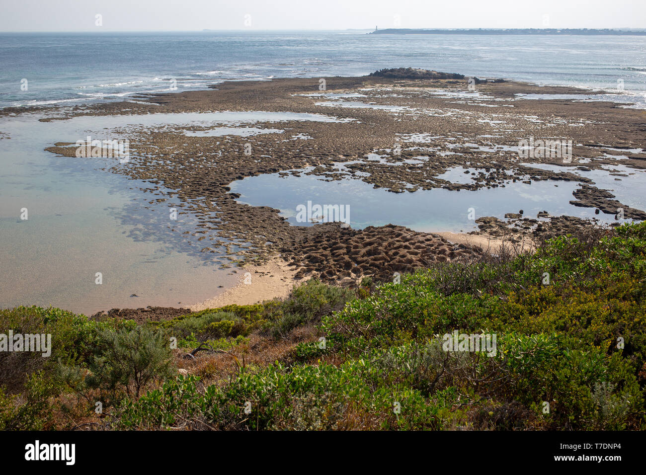 Vista di Nepean Rock a bassa marea, Parco Nazionale Point Nepean Foto Stock