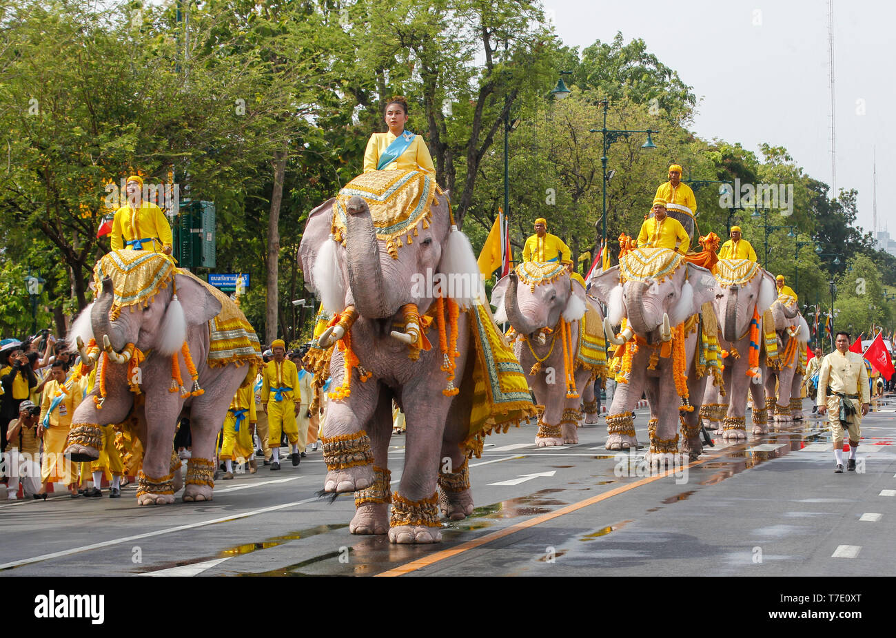 Thai mahouts visto a cavallo di elefanti dipinte di bianco durante un royal parade vicino al Grand Palace a celebrare la Thailandia del re Maha Vajiralongkorn Bodindradebayavarangkun incoronazione a Bangkok. Foto Stock