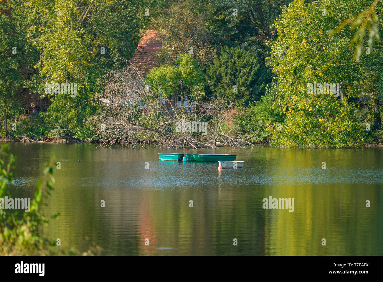 Schaefersee, Reinickendorf, Berlino, Deutschland, Schäfersee Foto Stock