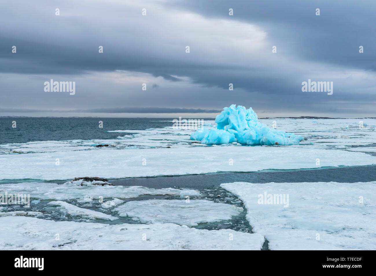 Blu iceberg alla deriva in Hinlopen Strait, isola Spitsbergen, arcipelago delle Svalbard, Norvegia Foto Stock