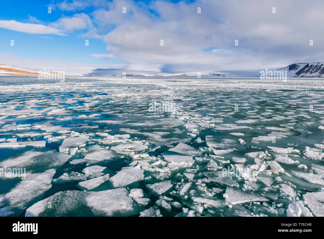 Palanderbukta Bay, Pack modello di ghiaccio, Gustav Adolf Terra, Nordaustlandet, arcipelago delle Svalbard, Norvegia Foto Stock