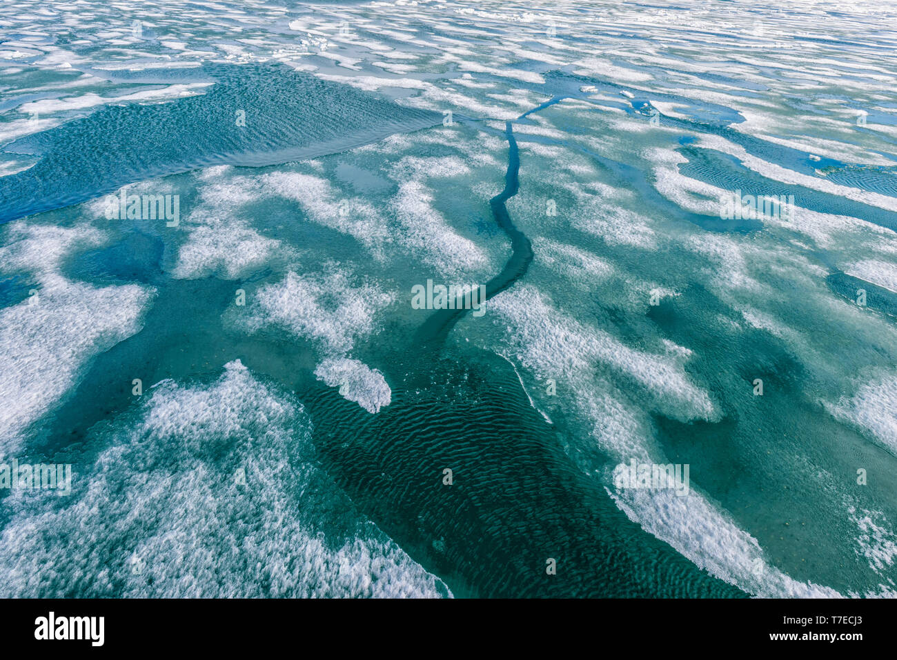 Palanderbukta Bay, Pack modello di ghiaccio, Gustav Adolf Terra, Nordaustlandet, arcipelago delle Svalbard, Norvegia Foto Stock