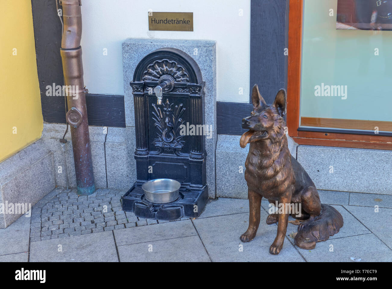 Hundetraenke, Hundeskulptur, Designer di uscita B5, Wustermark, Brandeburgo, Deutschland Foto Stock