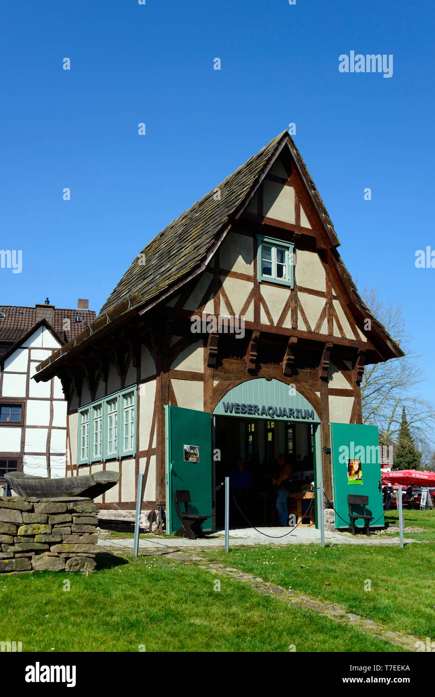 Acquario di Weser, Bodenwerder, Bassa Sassonia, Germania Foto Stock