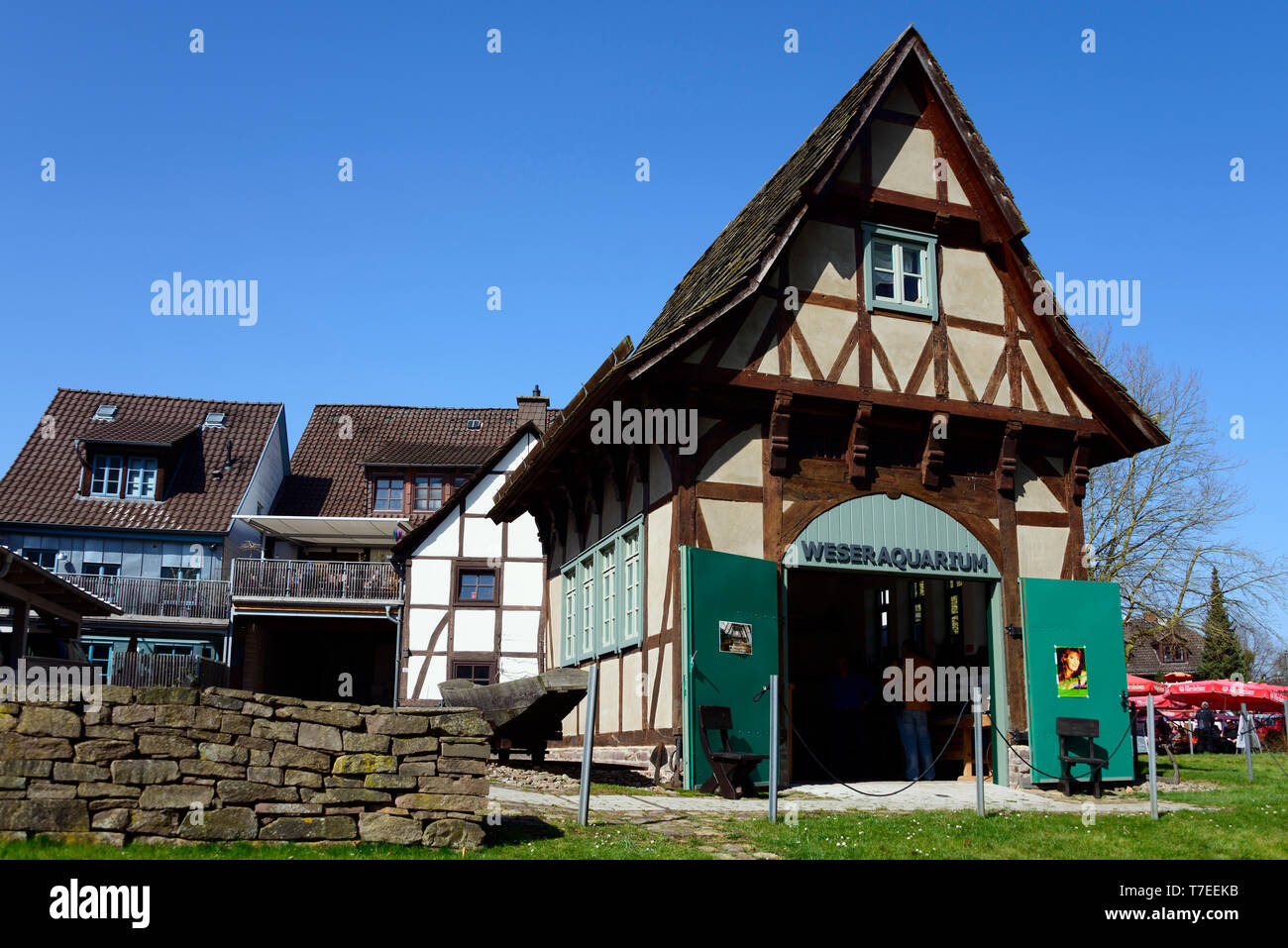 Acquario di Weser, Bodenwerder, Bassa Sassonia, Germania Foto Stock