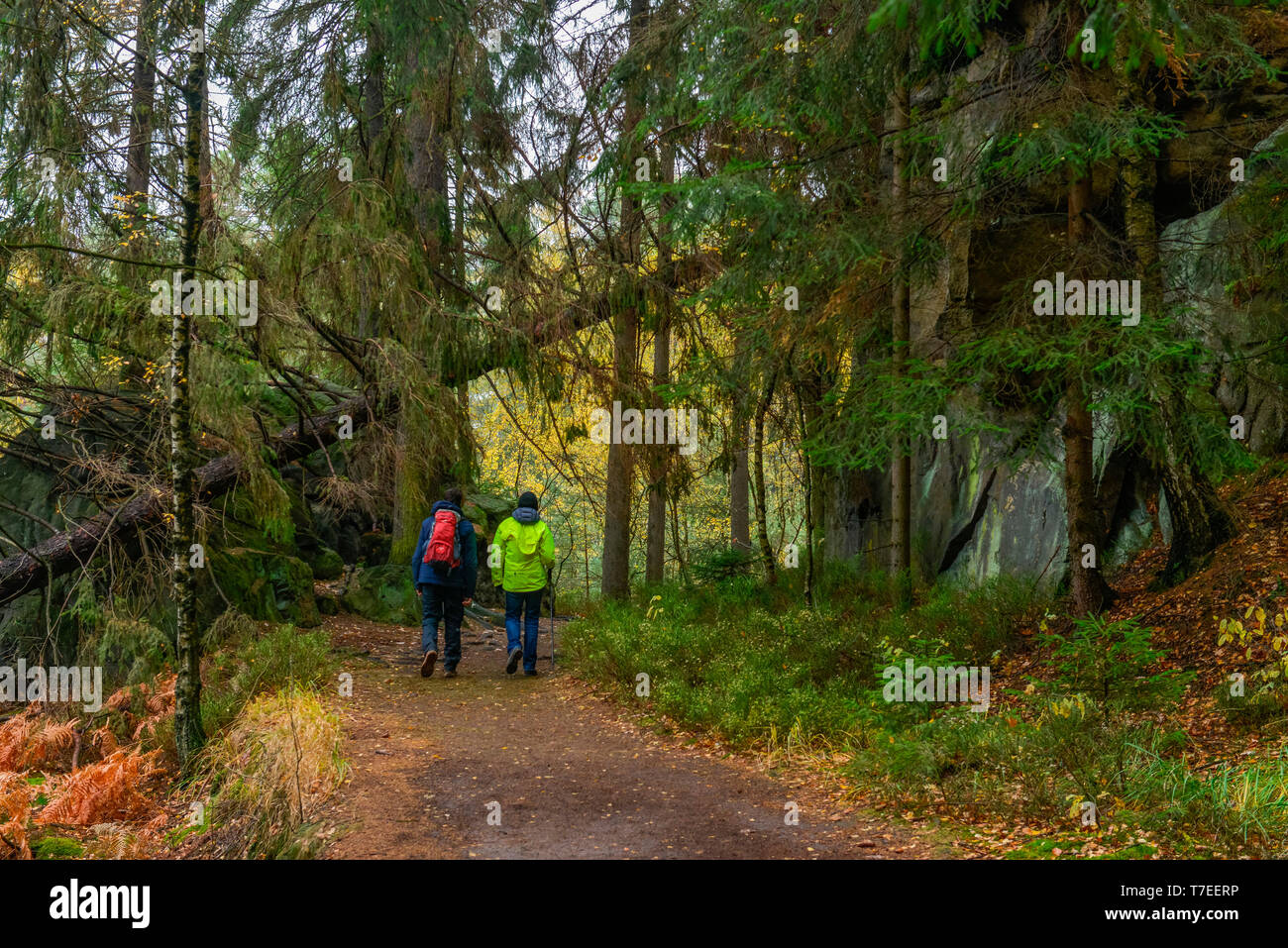 Malerweg bei Hohnstein, Saechsische Schweiz, Sachsen, Deutschland Foto Stock