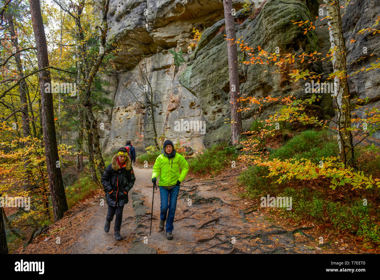 Malerweg bei Hohnstein, Saechsische Schweiz, Sachsen, Deutschland Foto Stock